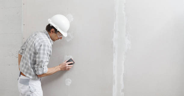 Best Drywall Removal and Disposal  in White City, FL